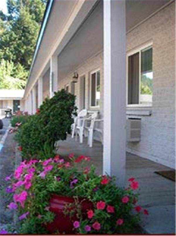 Forest Lodge Motel Happy Camp Bagian luar foto